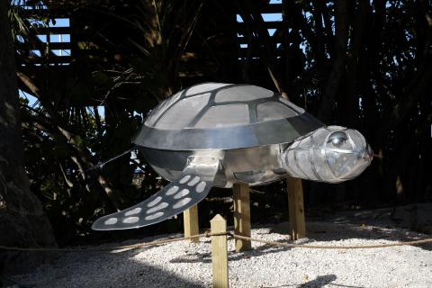 The Sea Turtle Sculpture at Venice Beach is now named Speckles