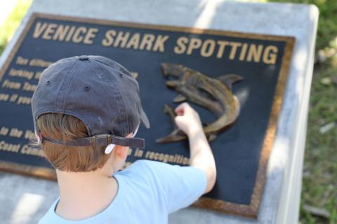 Boy about to begin Shark Spotting 