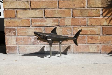 Megalodon Sculpture