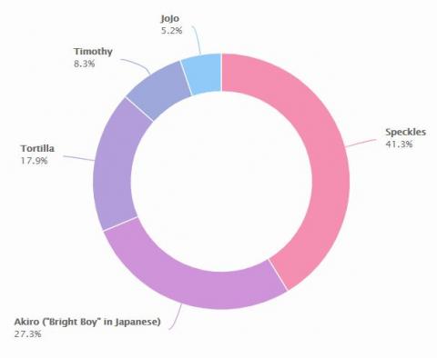 Turtle Name voting breakdown