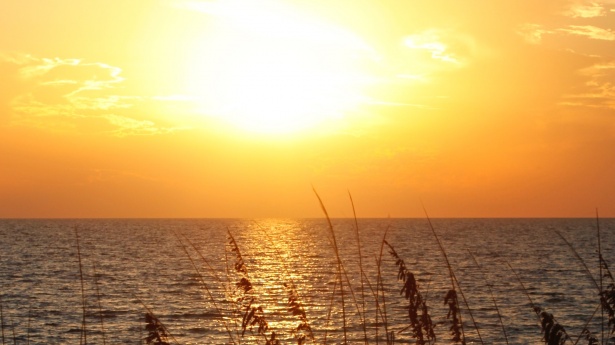New FL SUN Program Shines Light on Solar Power
