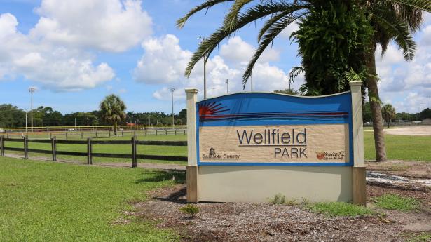 Sign for Wellfield Park with palm tree outside.
