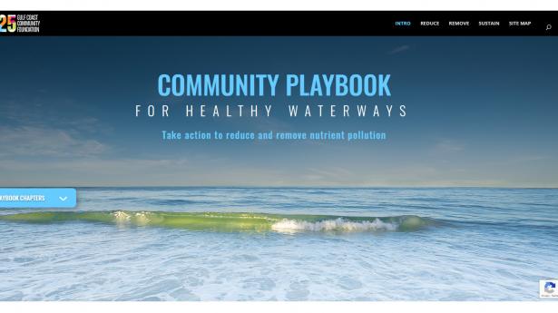 Water Quality Playbook SIte