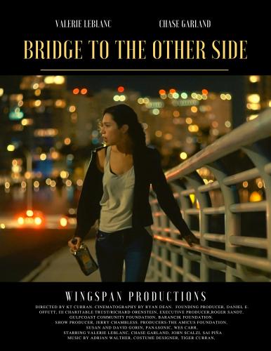 Image of trailer for movie Bridge to the Other Side by Wingspan Productions