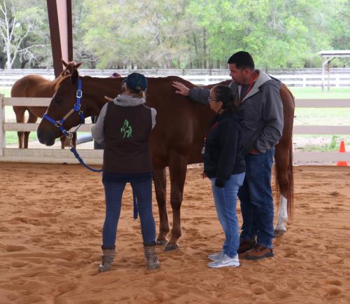 Three people standing in farm by horse; one petting horse.