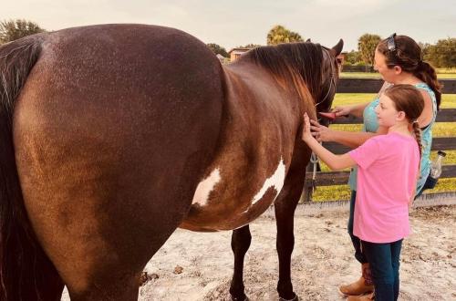 Woman and child stand, brushing and petting large brown horse.