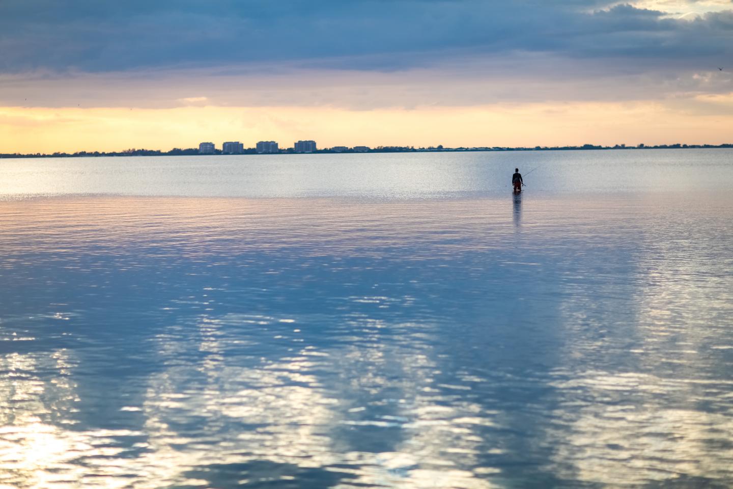 Angler in Sarasota Bay at sunset