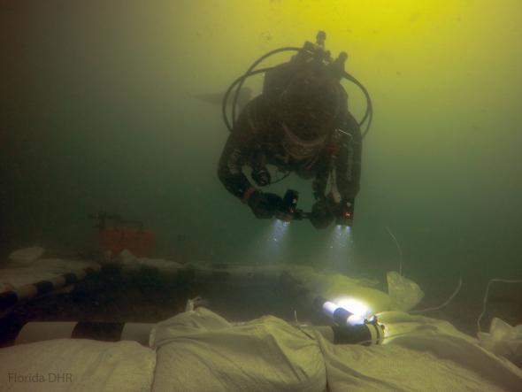 Diver