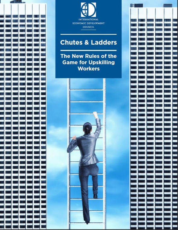 CareerEdge Chutes and Ladders
