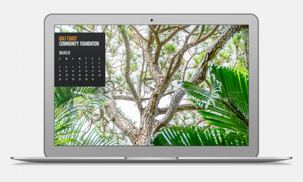 March 2017 Wallpaper