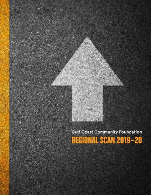 Regional E-Scan 2017